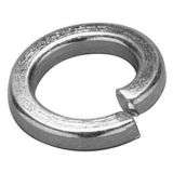 M6 BZP Spring Washer